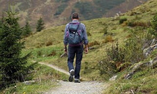 Just How Beneficial Is Hiking?
