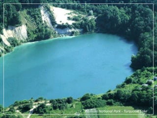 Wolinski National Park - beech forest