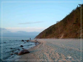 Wolinski National Park - bisonreserve