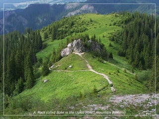 A  Rock called Bake in the UpłazHala ( mountain pasture)