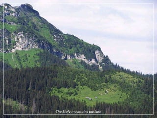 The Stoły mountains pasture