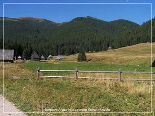 Shepherd huts in a clearing Chochołowska