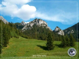 Kościeliska Valley