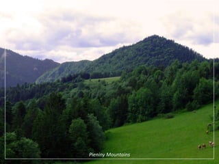 Pieniny Mountains 