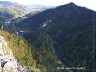 Pieniny – a gorge of Dunajec
