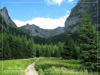Western Tatrasof Small Meadow Valley