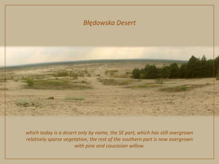 Błędowska Desertwhich today is a desert only by name, the SE part, which has still overgrown relatively sparse vegetation, the rest of the southern part is now overgrown with pine and caucasian willow. 