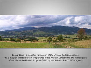 Beskid Śląski - a mountain range, part of the Western Beskid Mountains.This is a region that falls within the province of the Western Carpathians. The highest peaks of the Silesian Beskid are: Skrzyczne (1257 m) and BaraniaGóra (1220 m n.p.m.)