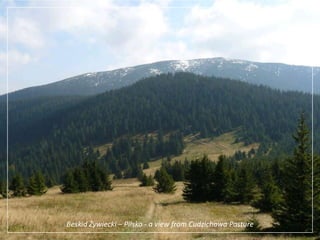 Beskid Żywiecki – Pilsko - a view from Cudzichowa Pasture