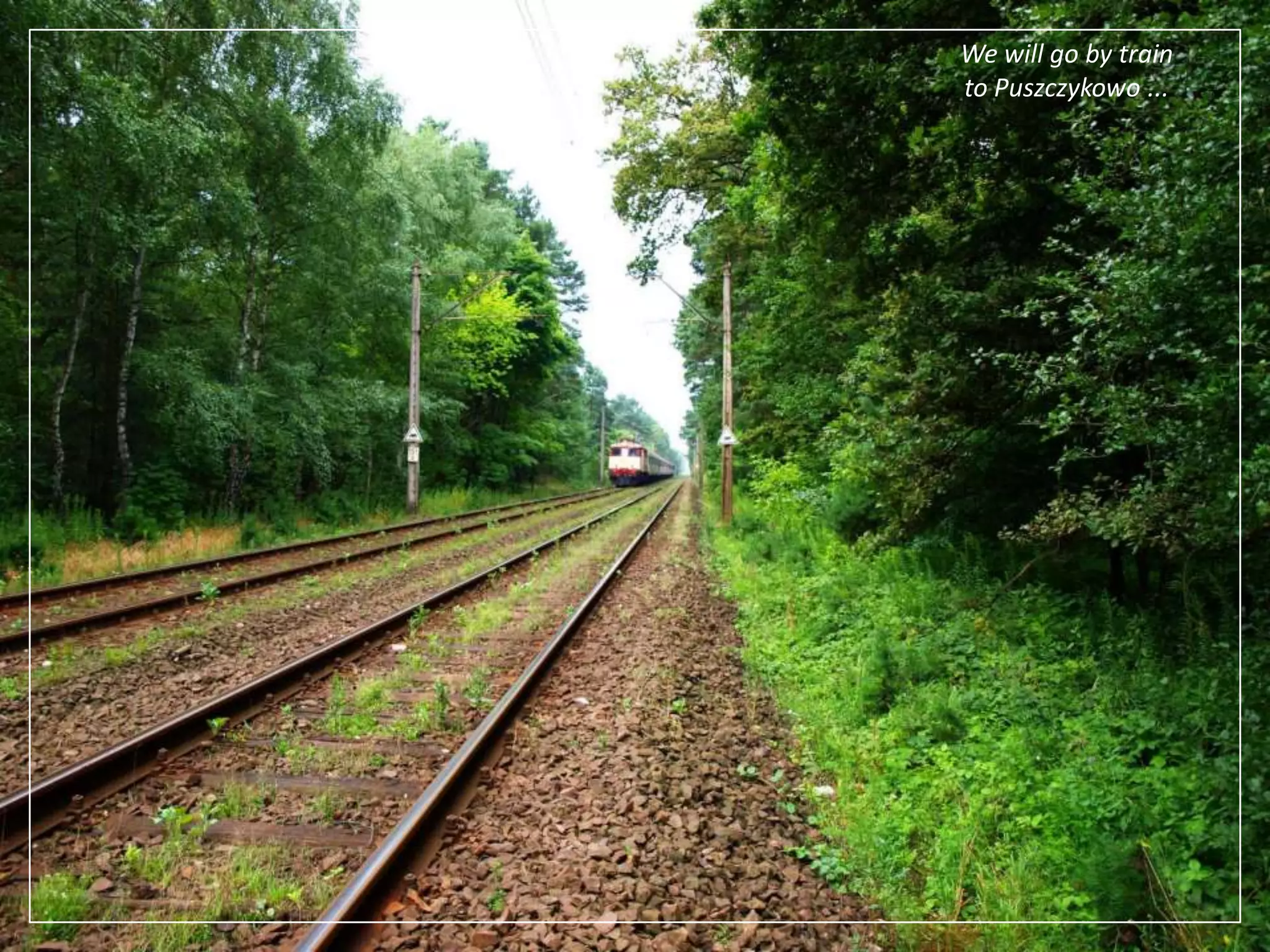 We will go by trainto Puszczykowo ...