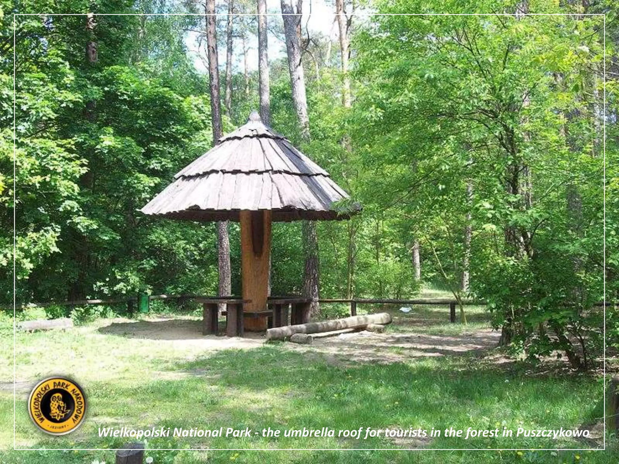 Wielkopolski National Park - the umbrella roof for tourists in the forest in Puszczykowo