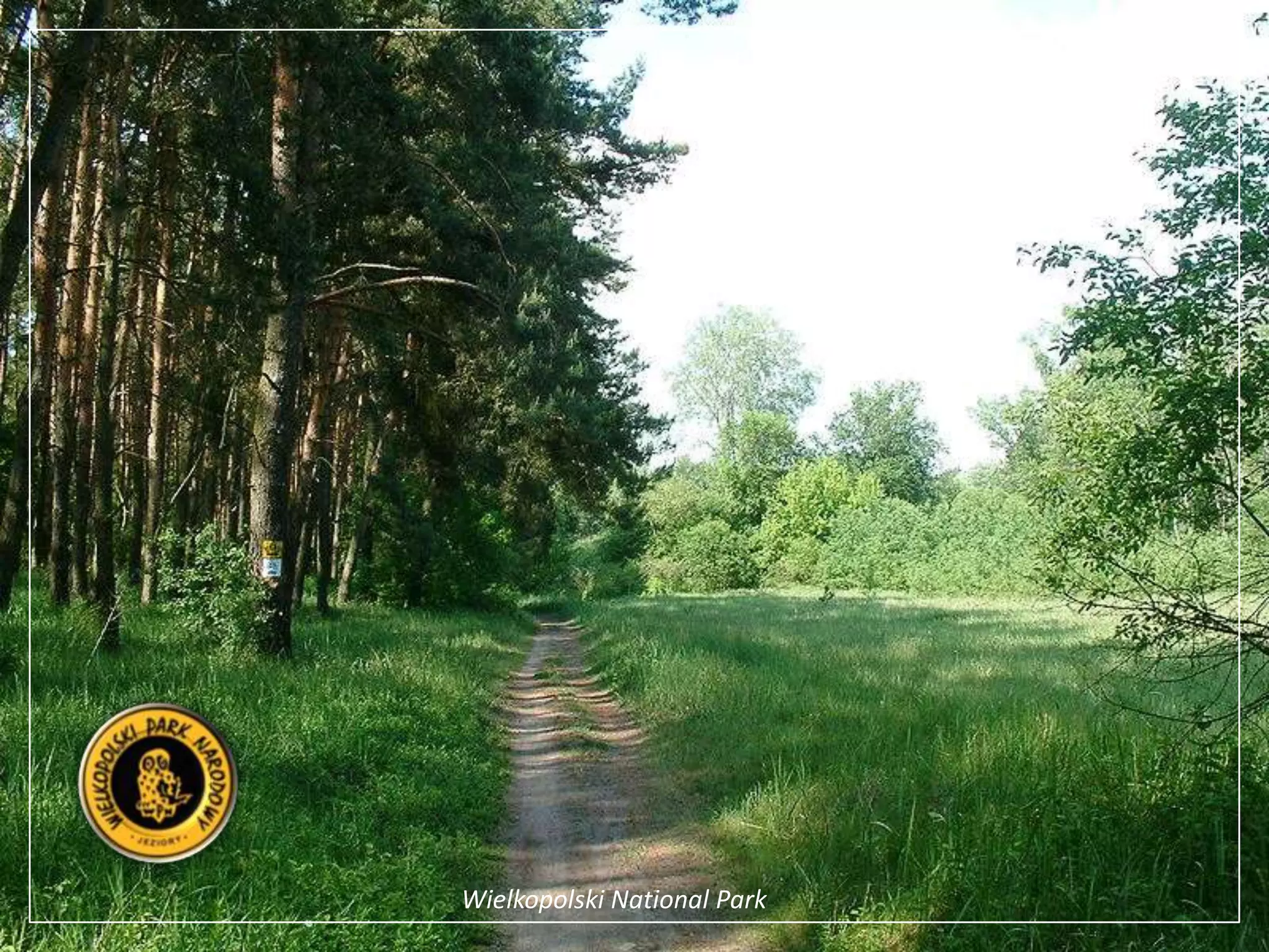 Wielkopolski National Park