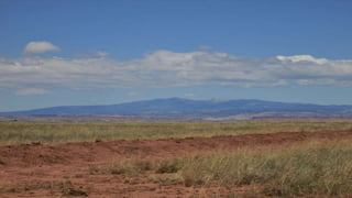 Wandering an Isolated Road in Search of Bosque del Apache
