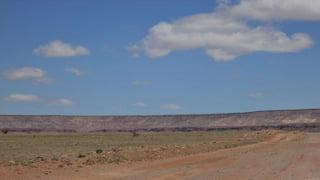 Wandering an Isolated Road in Search of Bosque del Apache