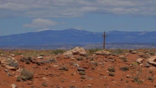 Wandering an Isolated Road in Search of Bosque del Apache