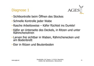Diagnose 1 
• Sichtkontrolle beim Öffnen des Stockes 
• Schnelle Kontrolle jeder Wabe 
• Rasche Arbeitsweise – Käfer flüchtet ins Dunkle! 
• Käfer an Unterseite des Deckels, in Ritzen und unter 
Rähmchenohren 
• Larven frei sichtbar in Waben, Rähmchenecken und 
am Bodenbrett 
• Eier in Ritzen und Beutenboden 
www.ages.at 
21 
Derakhshifar, WL-Tagung 11.9.2014, Mayrhofen, 
©AGES, Abt. Bienenkunde u. Bienenschutz 
 
