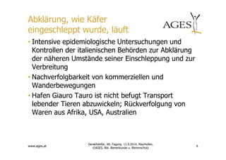Abklärung, wie Käfer 
eingeschleppt wurde, läuft 
• Intensive epidemiologische Untersuchungen und 
Kontrollen der italienischen Behörden zur Abklärung 
der näheren Umstände seiner Einschleppung und zur 
Verbreitung 
• Nachverfolgbarkeit von kommerziellen und 
Wanderbewegungen 
• Hafen Giauro Tauro ist nicht befugt Transport 
lebender Tieren abzuwickeln; Rückverfolgung von 
Waren aus Afrika, USA, Australien 
www.ages.at 
6 
Derakhshifar, WL-Tagung 11.9.2014, Mayrhofen, 
©AGES, Abt. Bienenkunde u. Bienenschutz 
 
