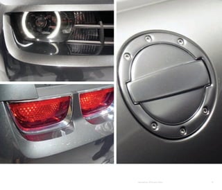 Wanderlust: 2010 Auto Show   19
 