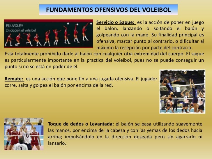 Wander pereira fundamentos ofensivos o defensivos del voleibol Wander pereira fundamentos ofensivos o defensivos del voleibol
