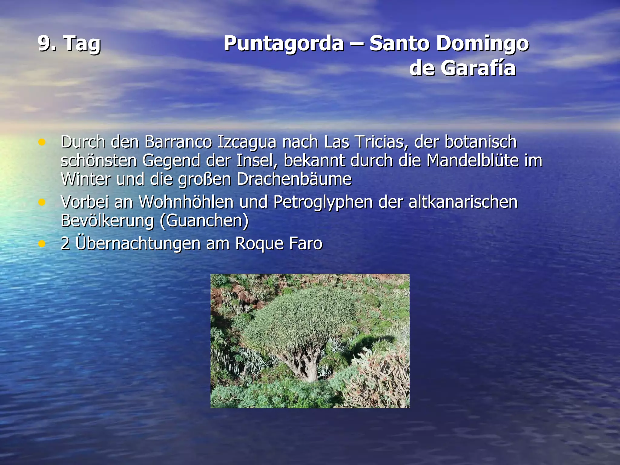 9. Tag Puntagorda – Santo Domingo  de Garafía Durch den Barranco Izcagua nach Las Tricias, der botanisch schönsten Gegend der Insel, bekannt durch die Mandelblüte im Winter und die großen Drachenbäume Vorbei an Wohnhöhlen und Petroglyphen der altkanarischen Bevölkerung (Guanchen)  2 Übernachtungen am Roque Faro 