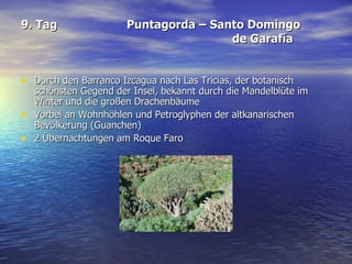 9. Tag Puntagorda – Santo Domingo  de Garafía Durch den Barranco Izcagua nach Las Tricias, der botanisch schönsten Gegend der Insel, bekannt durch die Mandelblüte im Winter und die großen Drachenbäume Vorbei an Wohnhöhlen und Petroglyphen der altkanarischen Bevölkerung (Guanchen)  2 Übernachtungen am Roque Faro 