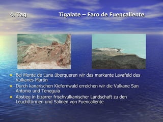 4. Tag Tigalate – Faro de Fuencaliente Bei Monte de Luna überqueren wir das markante Lavafeld des Vulkanes Martin Durch kanarischen Kiefernwald erreichen wir die Vulkane San Antonio und Tenegu í a  Abstieg in bizarrer frischvulkanischer Landschaft zu den Leuchttürmen und Salinen von Fuencaliente 