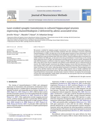 Journal of Neuroscience Methods 183 (2009) 165–175



                                                              Contents lists available at ScienceDirect


                                                   Journal of Neuroscience Methods
                                             journal homepage: www.elsevier.com/locate/jneumeth




Laser-evoked synaptic transmission in cultured hippocampal neurons
expressing channelrhodopsin-2 delivered by adeno-associated virus
Jennifer Wang a,∗ , Mazahir T. Hasan b , H. Sebastian Seung c
a
 Department of Brain and Cognitive Sciences, Massachusetts Institute of Technology, 77 Massachusetts Avenue 46-5065, Cambridge, MA 02139 United States
b
 Max Planck Institute for Medical Research, 29-Jahnstrasse, D-69120 Heidelberg, Germany
c
 Departments of Brain and Cognitive Sciences and Physics, Massachusetts Institute of Technology, Howard Hughes Medical Institute,
77 Massachusetts Avenue 46-5065, Cambridge, MA 02139, United States




a r t i c l e          i n f o                          a b s t r a c t

Article history:                                        We present a method for studying synaptic transmission in mass cultures of dissociated hippocam-
Received 1 April 2009                                   pal neurons based on patch clamp recording combined with laser stimulation of neurons expressing
Received in revised form 17 June 2009                   channelrhodopsin-2 (ChR2). Our goal was to use the high spatial resolution of laser illumination to come
Accepted 18 June 2009
                                                        as close as possible to the ideal of identifying monosynaptically coupled pairs of neurons, which is con-
                                                        ventionally done using microisland rather than mass cultures. Using recombinant adeno-associated virus
Keywords:
                                                        (rAAV) to deliver the ChR2 gene, we focused on the time period between 14 and 20 days in vitro, during
Channelrhodopsin-2 (ChR-2)
                                                        which expression levels are high, and spontaneous bursting activity has not yet started. Stimulation by
Recombinant adeno-associated virus (rAAV)
Synaptic physiology
                                                        wide-ﬁeld illumination is sufﬁcient to make the majority of ChR2-expressing neurons spike. Stimulation
Primary hippocampal culture                             with a laser spot at least 10 m in diameter also produces action potentials, but in a reduced fraction of
                                                        neurons. We studied synaptic transmission by voltage-clamping a neuron with low expression of ChR2
                                                        and scanning a 40 m laser spot at surrounding locations. Responses were observed to stimulation at a
                                                        subset of locations in the culture, indicating spatial localization of stimulation. Pharmacological means
                                                        were used to identify responses that were synaptic. Many responses were of smaller amplitude than
                                                        those typically found in microisland cultures. We were unable to ﬁnd an entirely reliable criterion for dis-
                                                        tinguishing between monosynaptic and polysynaptic responses. However, we propose that postsynaptic
                                                        currents with small amplitudes, simple shapes, and latencies not much greater than 8 ms are reasonable
                                                        candidates for monosynaptic interactions.
                                                                                                                           © 2009 Elsevier B.V. All rights reserved.



1. Introduction                                                                               Expression of ChR2 in neurons has been achieved by mouse
                                                                                         transgenesis (Arenkiel et al., 2007; Wang et al., 2007); in utero elec-
    The cloning of channelrhodopsin-2 (ChR2) and subsequent                              troporation (Petreanu et al., 2007), lentivirus (Boyden et al., 2005)
expression in mammalian cells promised to revolutionize neuro-                           and recombinant adeno-associated virus (rAAV) (Bi et al., 2006).
physiology because it enabled optical stimulation of neurons in a                        A major drawback of lentivirus is that its DNA integrates into the
spatially localized and temporally precise fashion (Boyden et al.,                       host genome. Therefore the transgene is potentially susceptible
2005; Nagel et al., 2003; Wang et al., 2007). ChR2 has been used to                      to integration-induced epigenetic silencing (Ellis, 2005; Xia et al.,
identify presynaptic partners of an electrophysiologically recorded                      2007). Furthermore, a host gene could be disrupted by lentivirus
postsynaptic neuron (Arenkiel et al., 2007; Petreanu et al., 2007;                       DNA integration, which could affect normal neuronal function.
Wang et al., 2007). Other applications include mapping neuronal                          Although mouse transgenesis by oocyte DNA injection is a pow-
circuits, probing synaptic function in genetically deﬁned popula-                        erful tool, integration of exogenous DNA at speciﬁc sites can lead to
tions of neurons, and inducing plasticity at single synapses (Atasoy                     integration-induced gene silencing (Clark et al., 1997; Robertson et
et al., 2008; Liewald et al., 2008; Wang et al., 2007; Zhang et al.,                     al., 1996) and position-effect variegation (Robertson et al., 1995)
2008; Zhang and Oertner, 2007). In principle, ChR2 could also be                         with gene expression in some cells but not others. Although a
used to study the responses of networks to complex spatiotemporal                        plasmid delivered by in utero electroporation remains extrachro-
patterns of stimulation.                                                                 masomal, which may alleviate the silencing problem, transfection
                                                                                         of early progenitor cells leads to mosaic gene expression in neuronal
                                                                                         populations of the postnatal brain (Borrell et al., 2005; Hatanaka et
                                                                                         al., 2004).
    ∗ Corresponding author. Tel.: +1 617 452 2691; fax: +1 617 452 2913.                      Recombinant adeno-associated virus gene delivery has been
      E-mail address: jenwang@mit.edu (J. Wang).                                         successfully used to express ChR2 in mouse retinal neurons, and

0165-0270/$ – see front matter © 2009 Elsevier B.V. All rights reserved.
doi:10.1016/j.jneumeth.2009.06.024
 
