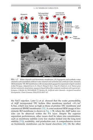 the NaCl rejection. Later Li et al. showed that the water permeability
of AQP incorporated TFC hollow fiber membrane reached 8 L/m2
h/bar, which was twice as high as those of pristine TFC membrane and
commercial BWRO membranes [32]. A cross-sectional SEM image of bio-
mimetic RO membrane is shown in Fig. 1.7B, where the AQP laden ves-
icles can be observed within the PA layer. Despite the superior
separation performances, other issues shall be taken into consideration,
such as membrane stability (very few studies looked into the long term
stability [53]), scalability, and production cost. A comprehensive review
on biomimetic membranes can be found elsewhere [48]. On the other
Water
molecules
Lipid
bilayer
Aquaporin
Self-assembled
water channel
Unimolecular
water channel
(A)
Lipid
vesicles
Polyamide
layer
PES support
layer
(B)
FIG. 1.7 Water channels and biomimetic membranes. (A) Aquaporin and synthetic water
channels (self-assembled artificial water channel and unimolecular artificial water channel);
(B) biomimetic TFC RO membranes with incorporated aquaporins (spanned in lipid vesicles)
in the PA layer. Adapted from Li X, Chou S, Wang R, Shi L, Fang W, Chaitra G, et al. Nature gives
the best solution for desalination: aquaporin-based hollow fiber composite membrane with superior per-
formance. J Membr Sci 2015;494:68–77; Barboiu M. Artificial water channels—incipient innovative
developments. Chem Commun 2016;52(33):5657–65.
15
1.2 RO MEMBRANE FABRICATION
 