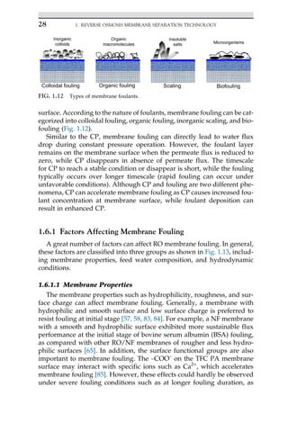 surface. According to the nature of foulants, membrane fouling can be cat-
egorized into colloidal fouling, organic fouling, inorganic scaling, and bio-
fouling (Fig. 1.12).
Similar to the CP, membrane fouling can directly lead to water flux
drop during constant pressure operation. However, the foulant layer
remains on the membrane surface when the permeate flux is reduced to
zero, while CP disappears in absence of permeate flux. The timescale
for CP to reach a stable condition or disappear is short, while the fouling
typically occurs over longer timescale (rapid fouling can occur under
unfavorable conditions). Although CP and fouling are two different phe-
nomena, CP can accelerate membrane fouling as CP causes increased fou-
lant concentration at membrane surface, while foulant deposition can
result in enhanced CP.
1.6.1 Factors Affecting Membrane Fouling
A great number of factors can affect RO membrane fouling. In general,
these factors are classified into three groups as shown in Fig. 1.13, includ-
ing membrane properties, feed water composition, and hydrodynamic
conditions.
1.6.1.1 Membrane Properties
The membrane properties such as hydrophilicity, roughness, and sur-
face charge can affect membrane fouling. Generally, a membrane with
hydrophilic and smooth surface and low surface charge is preferred to
resist fouling at initial stage [57, 58, 83, 84]. For example, a NF membrane
with a smooth and hydrophilic surface exhibited more sustainable flux
performance at the initial stage of bovine serum albumin (BSA) fouling,
as compared with other RO/NF membranes of rougher and less hydro-
philic surfaces [65]. In addition, the surface functional groups are also
important to membrane fouling. The –COO–
on the TFC PA membrane
surface may interact with specific ions such as Ca2+
, which accelerates
membrane fouling [85]. However, these effects could hardly be observed
under severe fouling conditions such as at longer fouling duration, as
FIG. 1.12 Types of membrane foulants.
28 1. REVERSE OSMOSIS MEMBRANE SEPARATION TECHNOLOGY
 
