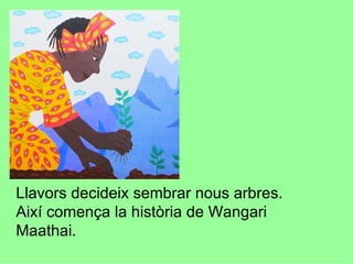 Llavors decideix sembrar nous arbres.  Així comença la història de Wangari Maathai.  