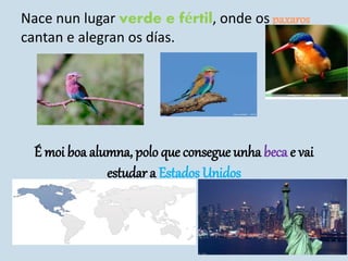 Nace nun lugar verde e fértil, onde os paxaros
cantan e alegran os días.
É moi boa alumna, polo que consegue unha beca e vai
estudar a Estados Unidos
 