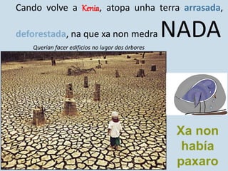 Cando volve a Kenia, atopa unha terra arrasada,
deforestada, na que xa non medra NADA
Xa non
había
paxaro
Querían facer edificios no lugar das árbores
 