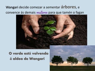 Wangari decide comezar a sementar árbores, e
convence ás demais mulleres para que tamén o fagan
O verde está volvendo
á aldea de Wangari
 