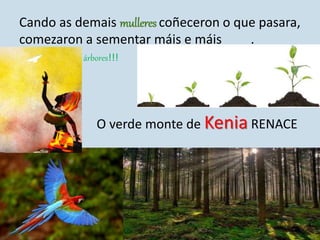Cando as demais mulleres coñeceron o que pasara,
comezaron a sementar máis e máis .
................ árbores!!!
O verde monte de Kenia RENACE
 