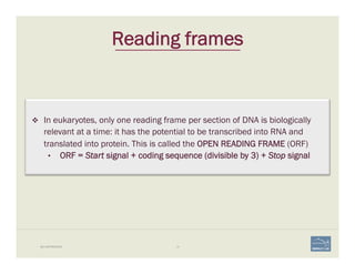 10BIO-REFRESHER
Reading frames
v  In eukaryotes, only one reading frame per section of DNA is biologically
relevant at a time: it has the potential to be transcribed into RNA and
translated into protein. This is called the OPEN READING FRAME (ORF)
•  ORF = Start signal + coding sequence (divisible by 3) + Stop signal
 