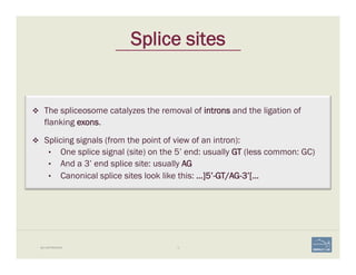 11BIO-REFRESHER
Splice sites
v  The spliceosome catalyzes the removal of introns and the ligation of
flanking exons.
v  Splicing signals (from the point of view of an intron):
•  One splice signal (site) on the 5’ end: usually GT (less common: GC)
•  And a 3’ end splice site: usually AG
•  Canonical splice sites look like this: …]5’-GT/AG-3’[…
 