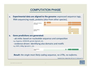 15GENE PREDICTION & ANNOTATION
COMPUTATION PHASE
a.  Experimental	
  data	
  are	
  aligned	
  to	
  the	
  genome:	
  expressed	
  sequence	
  tags,	
  
RNA-­‐sequencing	
  reads,	
  proteins	
  (also	
  from	
  other	
  species).	
  
	
  
	
  
	
  
	
  
	
  
b.  Gene	
  predic;ons	
  are	
  generated:	
  	
  
	
  -­‐	
  ab	
  ini$o:	
  based	
  on	
  nucleo'de	
  sequence	
  and	
  composi'on	
  
	
  e.g.	
  Augustus,	
  GENSCAN,	
  geneid,	
  fgenesh,	
  etc.	
  
	
  -­‐	
  evidence-­‐driven:	
  iden'fying	
  also	
  domains	
  and	
  mo'fs	
  
	
  e.g.	
  SGP2,	
  JAMg,	
  fgenesh++,	
  etc.	
  
	
  
	
  
Result:	
  the	
  single	
  most	
  likely	
  coding	
  sequence,	
  no	
  UTRs,	
  no	
  isoforms.	
  
Yandell & Ence. Nature Rev 2012 doi:10.1038/nrg3174
 