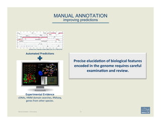 MANUAL ANNOTATION 
improving predictions
Precise	
  elucida;on	
  of	
  biological	
  features	
  
encoded	
  in	
  the	
  genome	
  requires	
  careful	
  
examina;on	
  and	
  review.	
  	
  
Schiex	
  et	
  al.	
  Nucleic	
  Acids	
  2003	
  (31)	
  13:	
  3738-­‐3741	
  
Automated Predictions
Experimental Evidence
Manual Annotation – to the rescue. 19
cDNAs,	
  HMM	
  domain	
  searches,	
  RNAseq,	
  
genes	
  from	
  other	
  species.	
  
 
