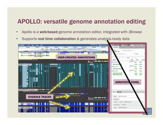 APOLLO: versatile genome annotation editing
•  Apollo is a web-based genome annotation editor, integrated with JBrowse
•  Supports real time collaboration & generates analysis-ready data
USER-CREATED ANNOTATIONS
EVIDENCE TRACKS
ANNOTATOR PANEL
 