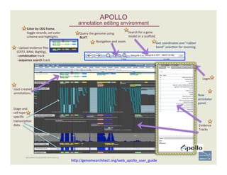 27
APOLLO 
annotation editing environment
BECOMING ACQUAINTED WITH APOLLO
Color	
  by	
  CDS	
  frame,	
  
toggle	
  strands,	
  set	
  color	
  
scheme	
  and	
  highlights.	
  
-­‐	
  Upload	
  evidence	
  ﬁles	
  
(GFF3,	
  BAM,	
  BigWig),	
  
-­‐	
  combina;on	
  track	
  	
  
-­‐	
  sequence	
  search	
  track	
  
Query	
  the	
  genome	
  using	
  
BLAT.	
  
Naviga'on	
  and	
  zoom.	
  
Search	
  for	
  a	
  gene	
  
model	
  or	
  a	
  scaﬀold.	
  
Get	
  coordinates	
  and	
  “rubber	
  
band”	
  selec'on	
  for	
  zooming.	
  
Login	
  
User-­‐created	
  
annota'ons.	
  
New	
  
annotator	
  
panel.	
  
Evidence	
  
Tracks	
  
Stage	
  and	
  
cell-­‐type	
  
speciﬁc	
  
transcrip'on	
  
data.	
  
	
  h;p://genomearchitect.org/web_apollo_user_guide	
  	
  
 