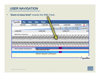 36 | 36	
USER NAVIGATION
BECOMING ACQUAINTED WITH APOLLO
•  ‘Zoom	
  to	
  base	
  level’	
  reveals	
  the	
  DNA	
  Track.	
  
 