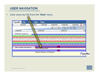 37 | 37	
USER NAVIGATION
BECOMING ACQUAINTED WITH APOLLO
•  Color	
  exons	
  by	
  CDS	
  from	
  the	
  ‘View’	
  menu.	
  
 