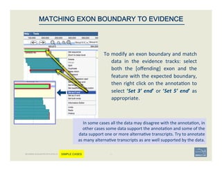 To	
  modify	
  an	
  exon	
  boundary	
  and	
  match	
  
data	
   in	
   the	
   evidence	
   tracks:	
   select	
  
both	
   the	
   [oﬀending]	
   exon	
   and	
   the	
  
feature	
  with	
  the	
  expected	
  boundary,	
  
then	
  right	
  click	
  on	
  the	
  annota'on	
  to	
  
select	
  ‘Set	
  3’	
  end’	
  or	
  ‘Set	
  5’	
  end’	
  as	
  
appropriate.	
  
	
  
In	
  some	
  cases	
  all	
  the	
  data	
  may	
  disagree	
  with	
  the	
  annota'on,	
  in	
  
other	
  cases	
  some	
  data	
  support	
  the	
  annota'on	
  and	
  some	
  of	
  the	
  
data	
  support	
  one	
  or	
  more	
  alterna've	
  transcripts.	
  Try	
  to	
  annotate	
  
as	
  many	
  alterna've	
  transcripts	
  as	
  are	
  well	
  supported	
  by	
  the	
  data.	
  
43	
MATCHING EXON BOUNDARY TO EVIDENCE
BECOMING ACQUAINTED WITH APOLLO SIMPLE CASES
 