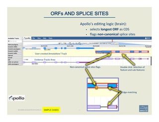 Non-­‐canonical	
  splice	
  sites	
  ﬂags.	
   Double	
  click:	
  selec'on	
  of	
  
feature	
  and	
  sub-­‐features	
  
Evidence	
  Tracks	
  Area	
  
‘User-­‐created	
  Annota$ons’	
  Track	
  
Edge-­‐matching	
  
Apollo’s	
  edi'ng	
  logic	
  (brain):	
  	
  
§  selects	
  longest	
  ORF	
  as	
  CDS	
  
§  ﬂags	
  non-­‐canonical	
  splice	
  sites	
  
44	
ORFs AND SPLICE SITES
BECOMING ACQUAINTED WITH APOLLO SIMPLE CASES
 