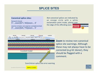 Non-­‐canonical	
  splices	
  are	
  indicated	
  by	
  
an	
   orange	
   circle	
   with	
   a	
   white	
  
exclama'on	
  point	
  inside,	
  placed	
  over	
  
the	
  edge	
  of	
  the	
  oﬀending	
  exon.	
  	
  
Canonical	
  splice	
  sites:	
  
3’-­‐…exon]GA	
  /	
  TG[exon…-­‐5’	
  
5’-­‐…exon]GT	
  /	
  AG[exon…-­‐3’	
  
reverse	
  strand,	
  not	
  reverse-­‐complemented:	
  
forward	
  strand	
  
45	
SPLICE SITES
Zoom	
  to	
  review	
  non-­‐canonical	
  
splice	
  site	
  warnings.	
  Although	
  
these	
  may	
  not	
  always	
  have	
  to	
  be	
  
corrected	
  (e.g	
  GC	
  donor),	
  they	
  
should	
  be	
  ﬂagged	
  with	
  a	
  
comment.	
  	
  
Exon/intron	
  splice	
  site	
  error	
  warning	
  
Curated	
  model	
  
BECOMING ACQUAINTED WITH APOLLO SIMPLE CASES
 