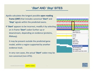 Apollo	
  calculates	
  the	
  longest	
  possible	
  open	
  reading	
  
frame	
  (ORF)	
  that	
  includes	
  canonical	
  ‘Start’	
  and	
  
‘Stop’	
  signals	
  within	
  the	
  predicted	
  exons.	
  	
  
If	
  ‘Start’	
  appears	
  to	
  be	
  incorrect,	
  modify	
  it	
  by	
  selec'ng	
  
an	
  in-­‐frame	
  ‘Start’	
  codon	
  further	
  up	
  or	
  
downstream,	
  depending	
  on	
  evidence	
  (proteins,	
  
RNAseq).	
  	
  
	
  
It	
  may	
  be	
  present	
  outside	
  the	
  predicted	
  gene	
  
model,	
  within	
  a	
  region	
  supported	
  by	
  another	
  
evidence	
  track.	
  
	
  
In	
  very	
  rare	
  cases,	
  the	
  actual	
  ‘Start’	
  codon	
  may	
  be	
  
non-­‐canonical	
  (non-­‐ATG).	
  	
  
46	
‘Start’ AND ‘Stop’ SITES
BECOMING ACQUAINTED WITH APOLLO SIMPLE CASES
 