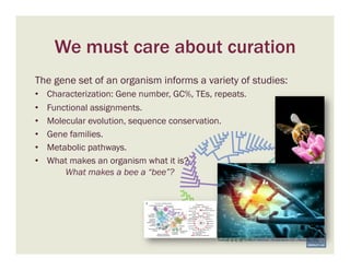 We must care about curation
Marbach et al. 2011. Nature Methods | Shutterstock.com | Alexander Wild
The gene set of an organism informs a variety of studies:
•  Characterization: Gene number, GC%, TEs, repeats.
•  Functional assignments.
•  Molecular evolution, sequence conservation.
•  Gene families.
•  Metabolic pathways.
•  What makes an organism what it is?
What makes a bee a “bee”?
 