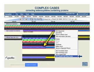 52	
COMPLEX CASES
correcting selenocysteine containing proteins
BECOMING ACQUAINTED WITH APOLLO COMPLEX CASES
 