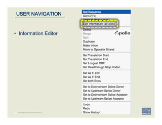 55 | 55	
USER NAVIGATION
BECOMING ACQUAINTED WITH APOLLO
•  Information Editor
 