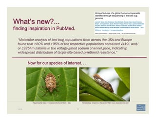 What’s new?...  
finding inspiration in PubMed.
Example 68
“Molecular analysis of bed bug populations from across the USA and Europe
found that >80% and >95% of the respective populations contained V419L and/
or L925I mutations in the voltage-gated sodium channel gene, indicating
widespread distribution of target-site-based pyrethroid resistance.”
Homalodisca vitripennis | Alexander Wild | www.alexanderwild.comHalyomorpha halys | Fondazione Edmund Mach - Italy
Now for our species of interest. . .
 